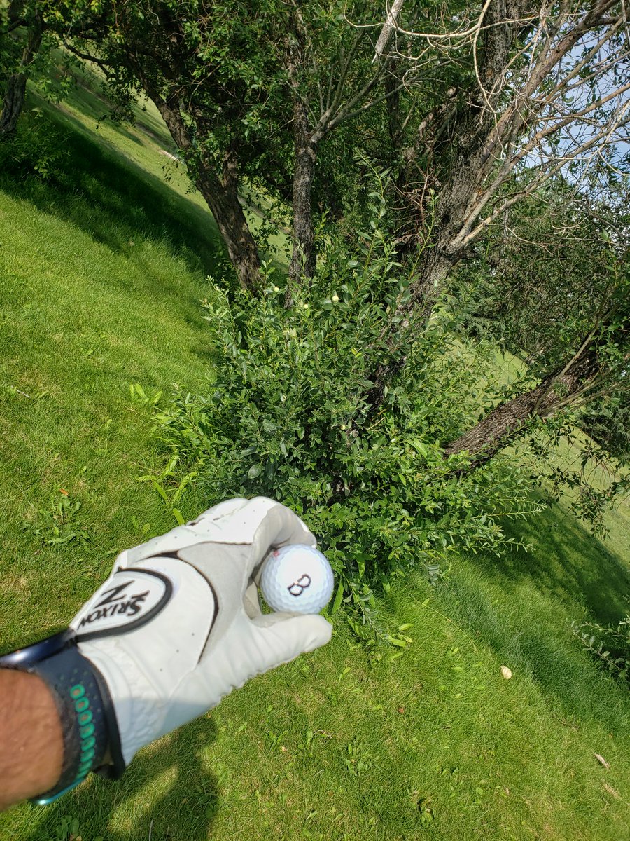 cor_lodder's tweet photo. A bonus day and a bonus ball from @ThunderMkt at the @AMCshortlinecda golf tournament ahead of @AginMotion 
(Team #2) @GlacierFarmedia @DutchIndustries @HeatAlberta @WalingaInc https://t.co/YmM5gJi1QY