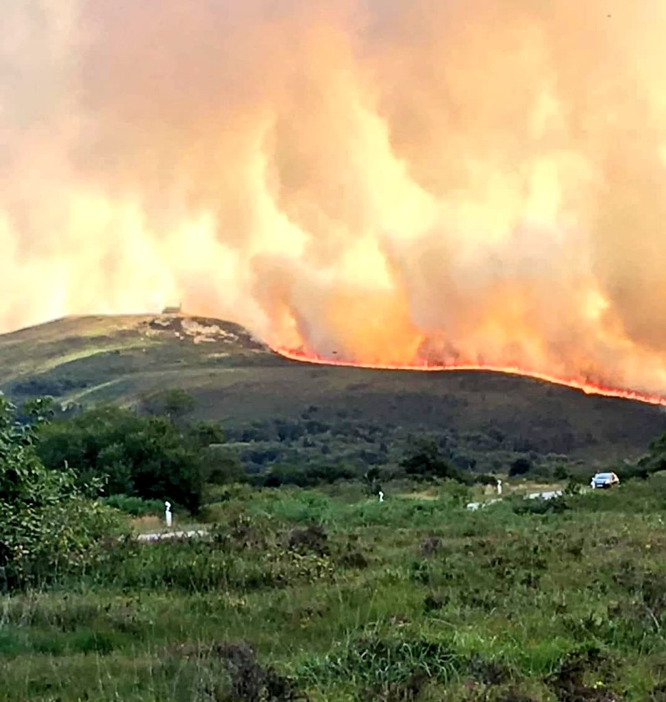 ⚓ CéLine Made In Bzh tweet media