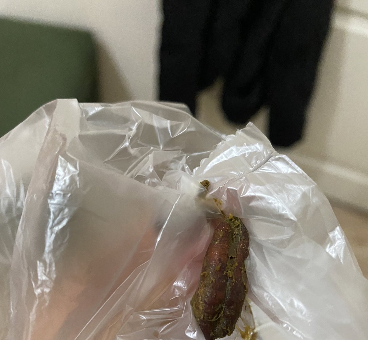 Adım marlo pireli bir çucuktum ve popişimden kocaman bir hurma çekirdeği çıktı ama şimdi iyileştim ben de aileye katıldım