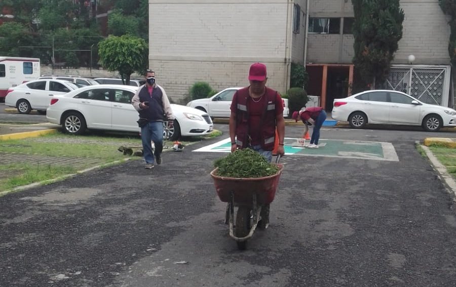 ClaudiaGalavizS's tweet photo. Las brigadas de la @ProsocCDMX iniciaron con mucho ánimo y desde muy temprano el #DiarioEnTUnidad de este lunes en la UH #Arbolillo de la Alcaldía #GAM, por indicación de la Jefa de @GobCDMX @Claudiashein https://t.co/C3wqSiHB7G