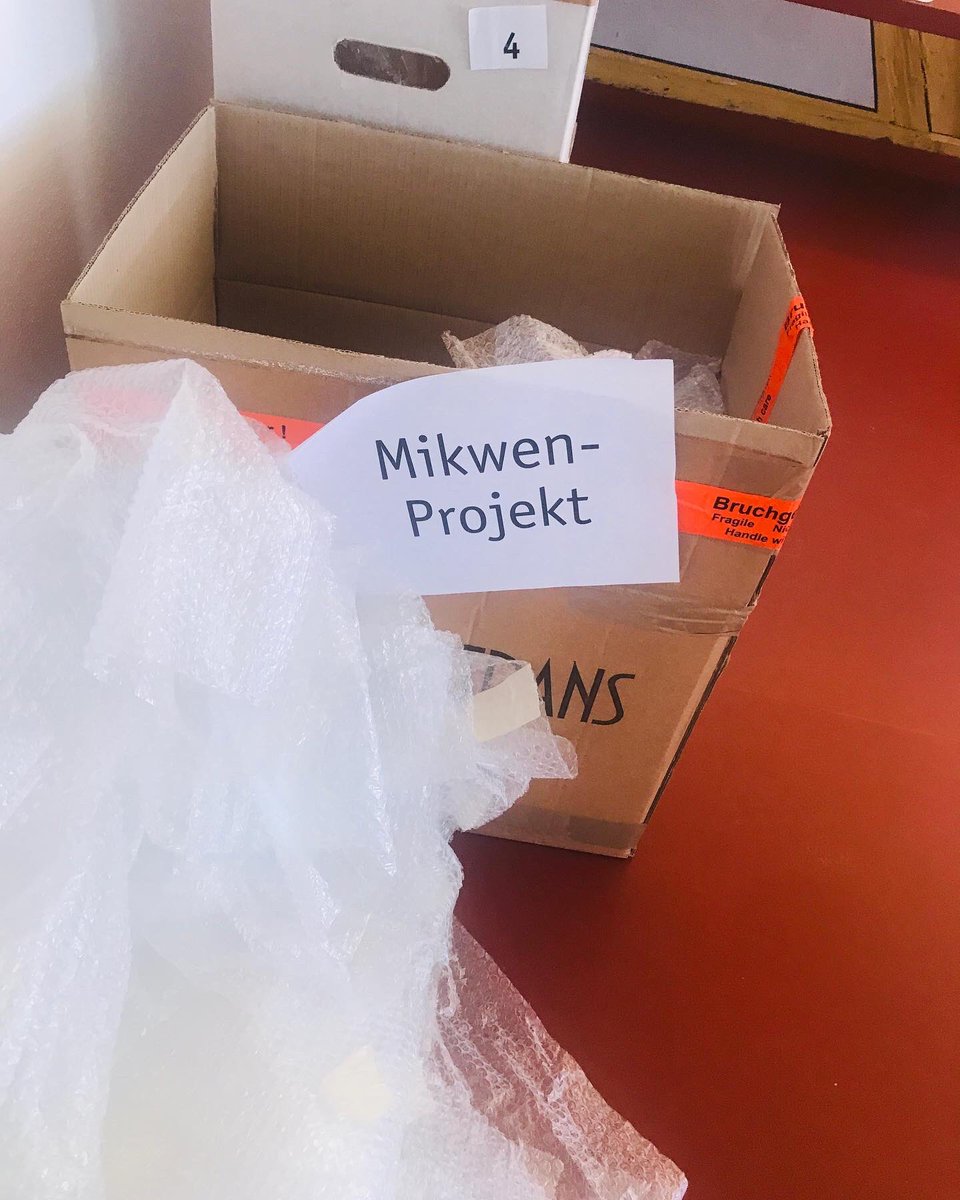 Daniela F Eisenstein tweet media