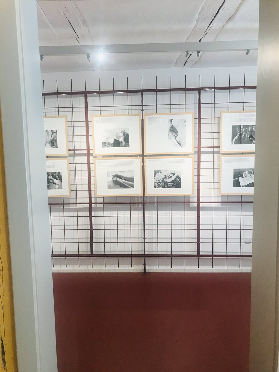 Daniela F Eisenstein tweet media