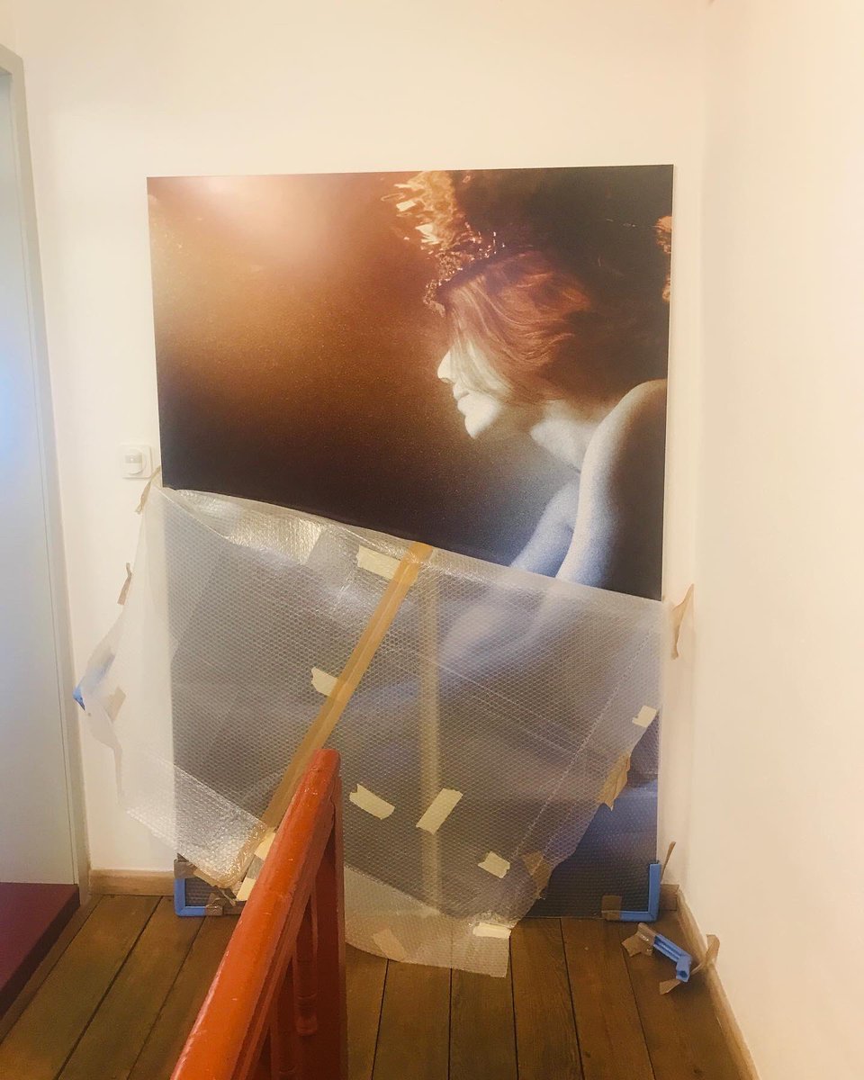 Daniela F Eisenstein tweet media