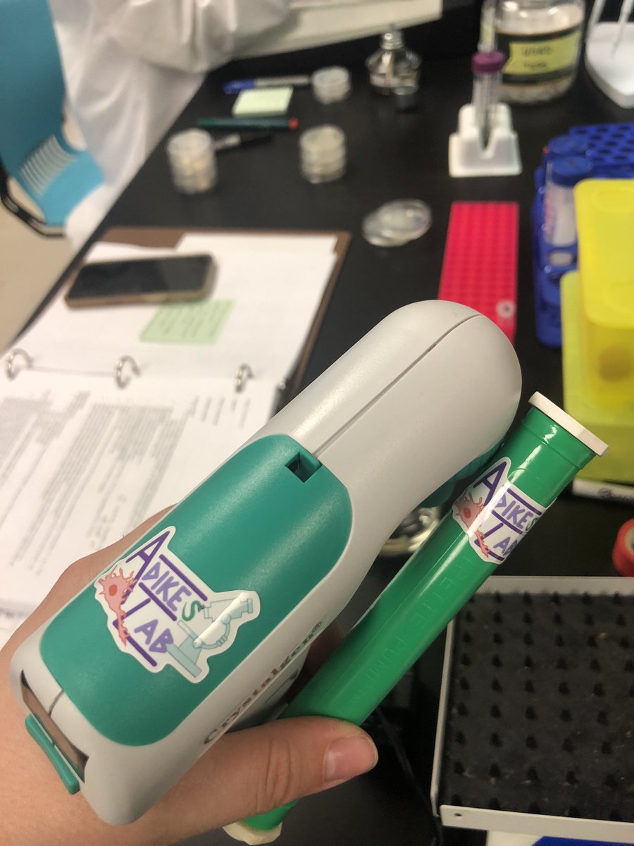 radikes's tweet photo. Lab stickers  came in! Designed by Maria 🤩🥳 #Adikeslab https://t.co/SaHaAHZdS8