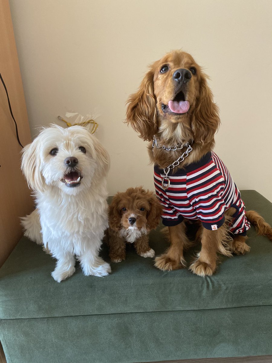 Dosta güven düşmana korku ... En belalımız ise düdük marlo