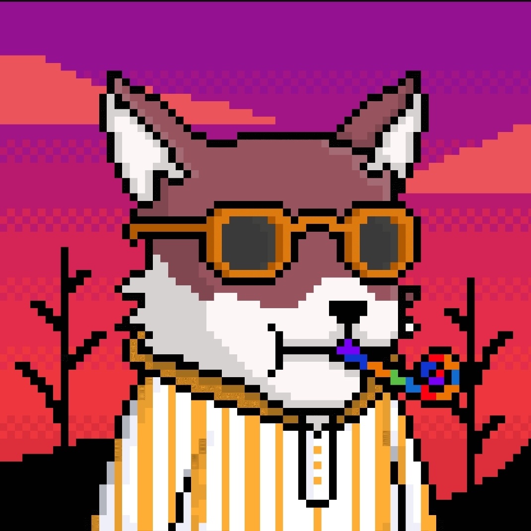 soufiane boudafdafa tweet media