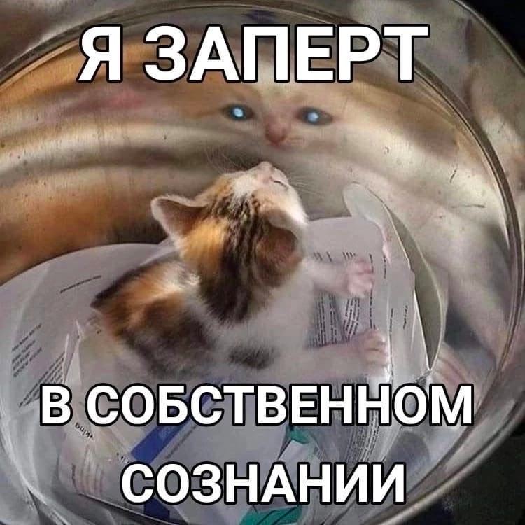 RussianMemesLtd's tweet image. I'm locked 

in my own mind