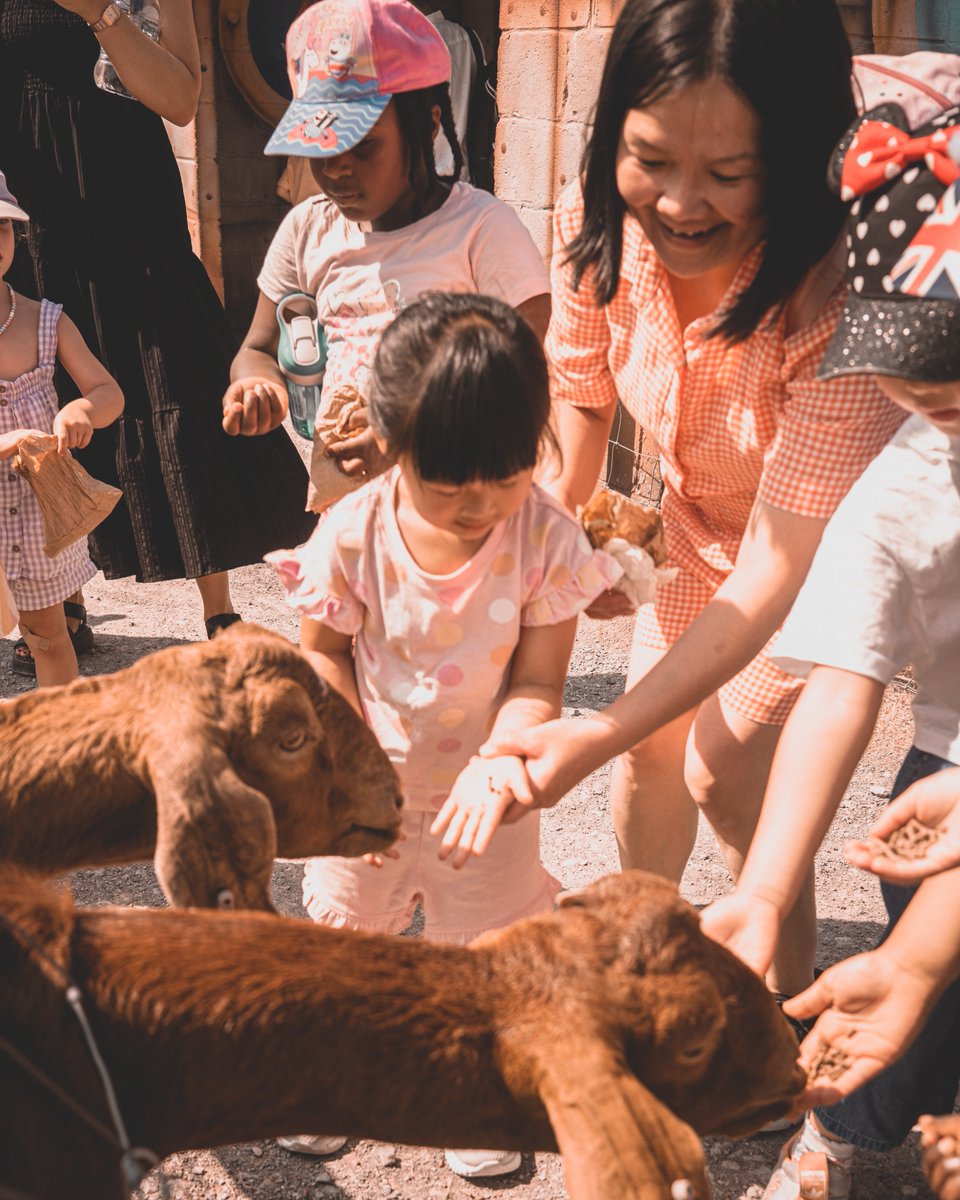 Today we visited Wiggleys Fun Farm! #ccfun