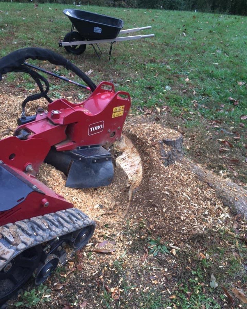 arboralmond's tweet photo. Got stumps? Let us get rid of them for you. We are licensed and insured. Contact us for a free estimate #treeservice #treeremoval #stumpgrinding #bedfordva #lynchburg #smithmountsinlake https://t.co/FqvWU5U3Ev
