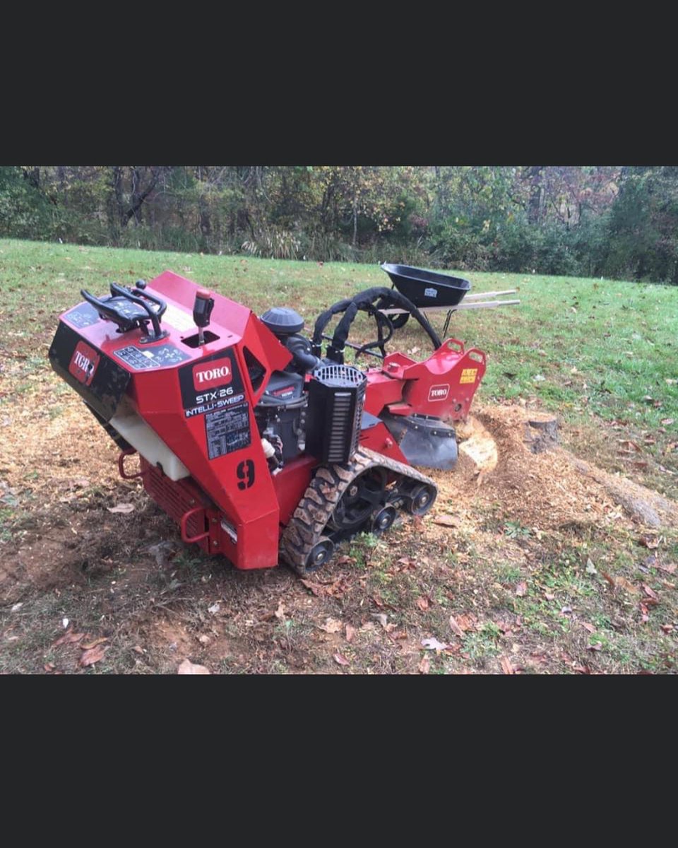 arboralmond's tweet photo. Got stumps? Let us get rid of them for you. We are licensed and insured. Contact us for a free estimate #treeservice #treeremoval #stumpgrinding #bedfordva #lynchburg #smithmountsinlake https://t.co/FqvWU5U3Ev