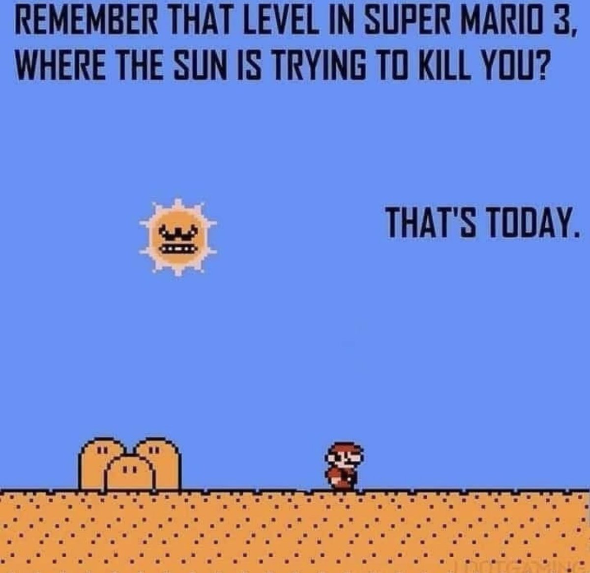 NoContextHumans's tweet image. 