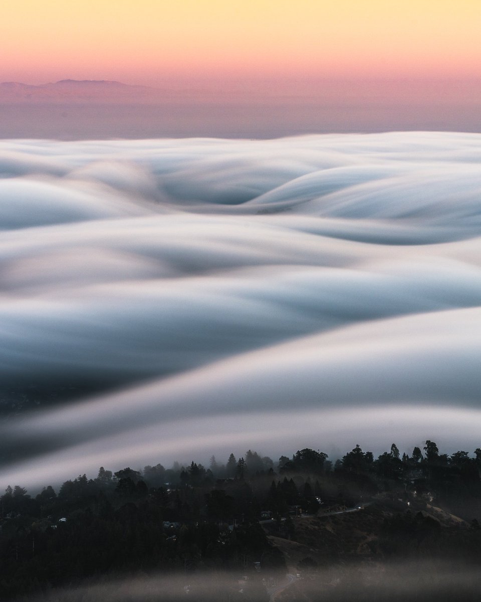 CodyConk's tweet photo. We like the fog https://t.co/aJ9JBAEE6Q