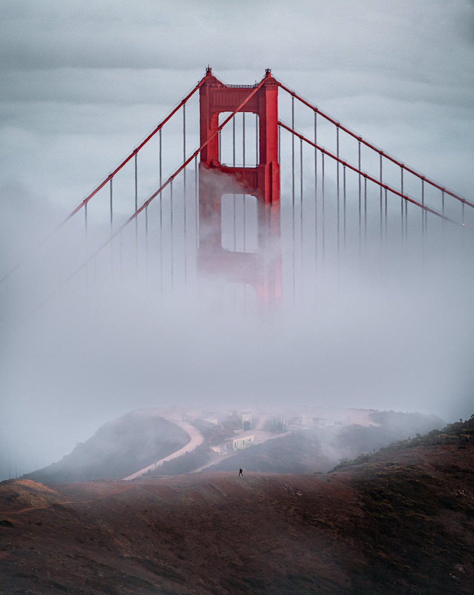 CodyConk's tweet photo. We like the fog https://t.co/aJ9JBAEE6Q