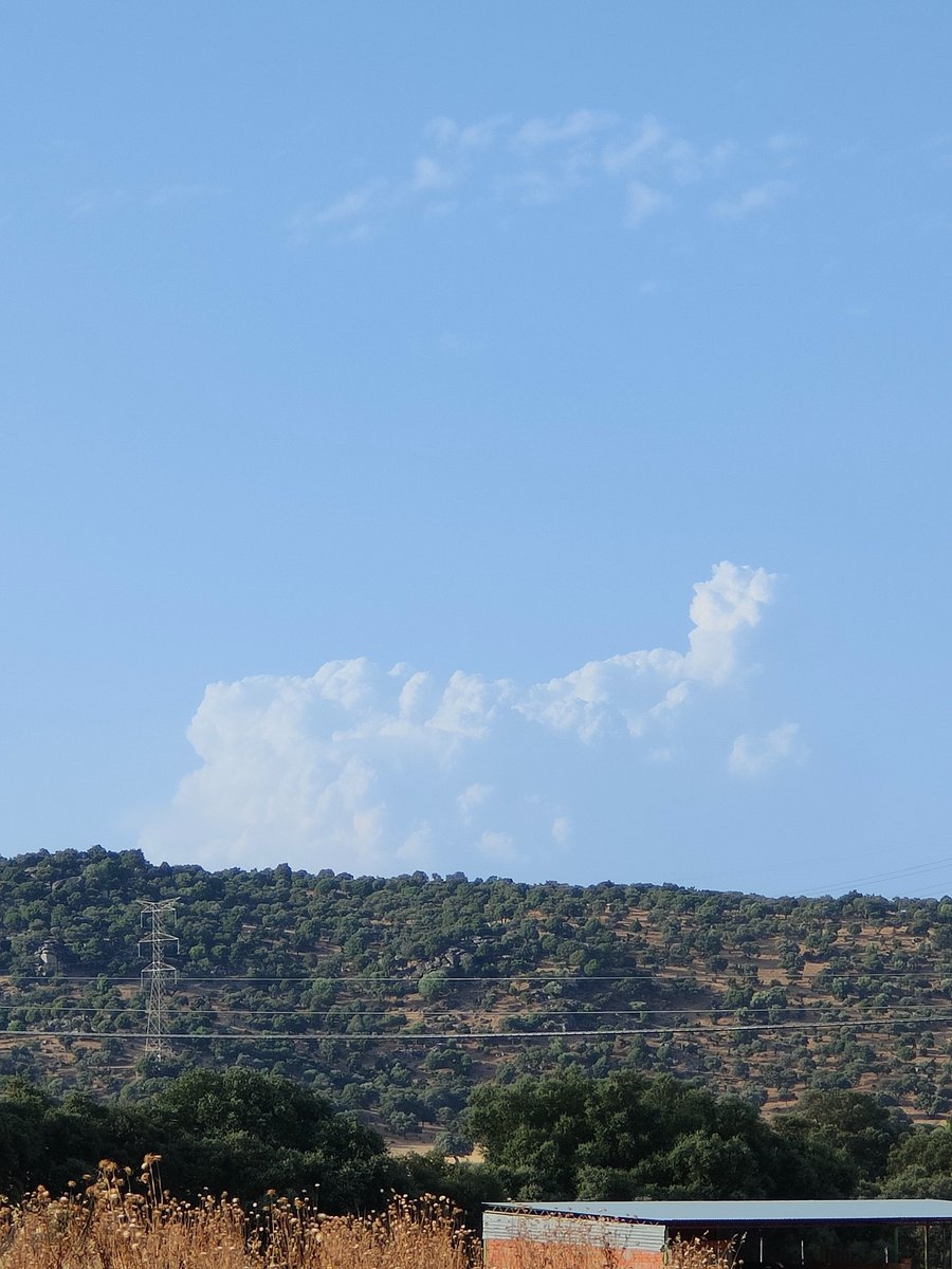 sarads16's tweet photo. #ifCebreros desde Garciotum (Toledo). Suerte compañeros! https://t.co/GgYWrKPlb4
