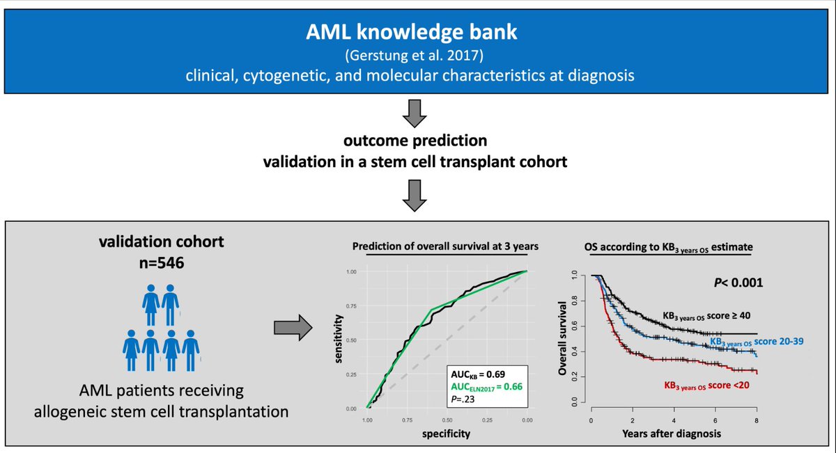 While the knowledge bank approach (Gerstung et al 2017) allowed risk assessment in AML patients receiving allogeneic HSCT, outcome prediction was not better than that of the ELN2017 risk system and inferior to published results after chemotherapy.
onlinelibrary.wiley.com/doi/epdf/10.10…