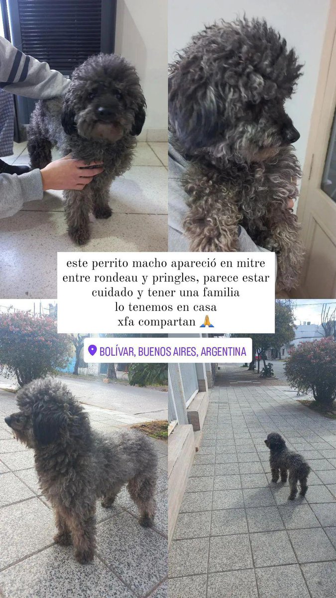 eugenia (@eugesarnari) on Twitter photo 