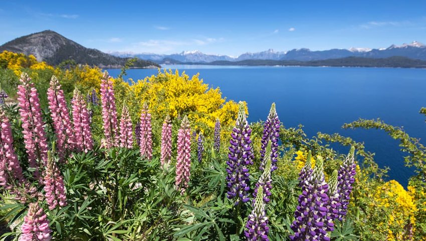 Temur57216535's tweet photo. Villa La Angostura Argentina,
#sunsinger
#shutterstock https://t.co/DbeKMMGrRf
