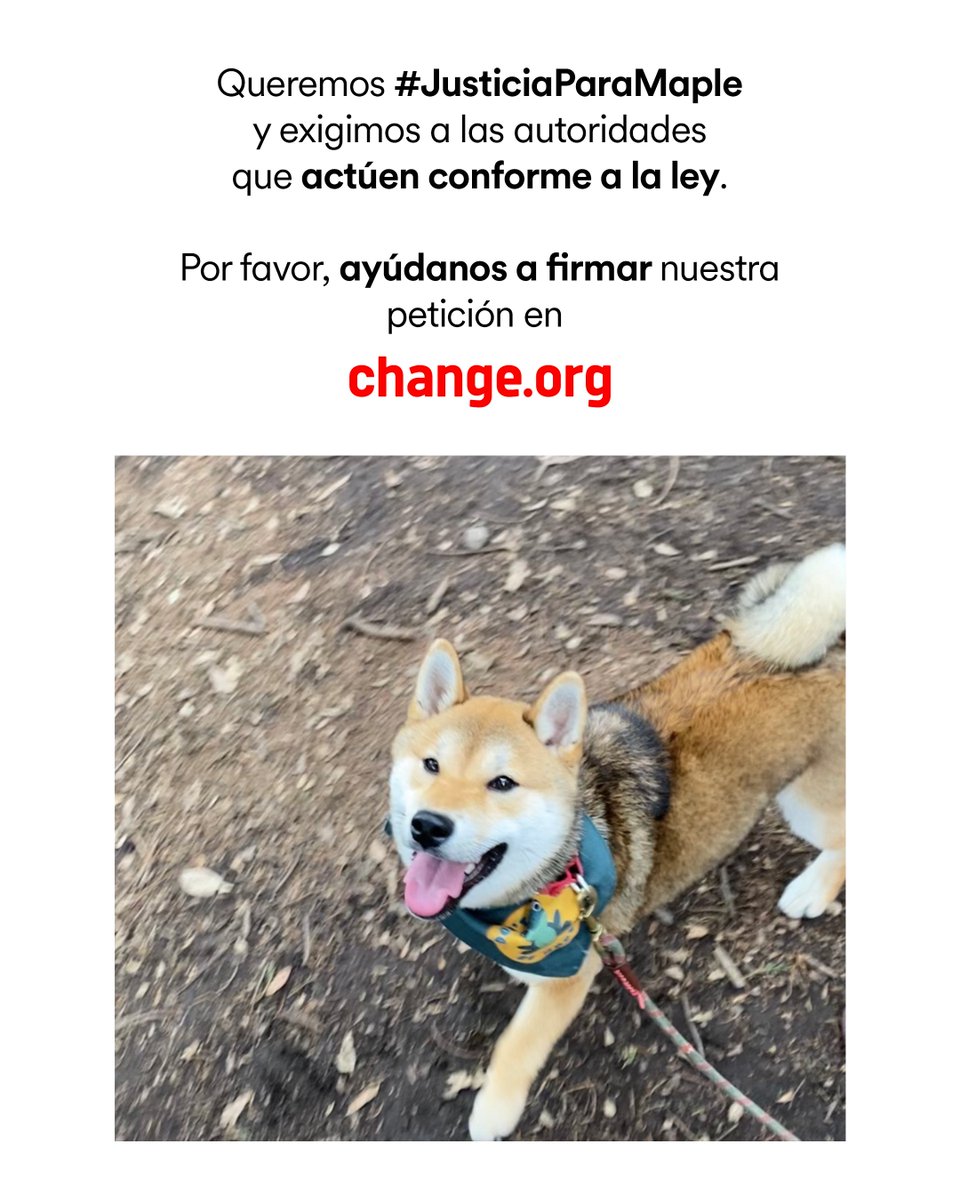 adriiwarhol's tweet photo. Ayúdennos a firmar nuestra petición en: https://t.co/B47RVuda2p #JusticiaParaMaple https://t.co/bObP4Sb1qm