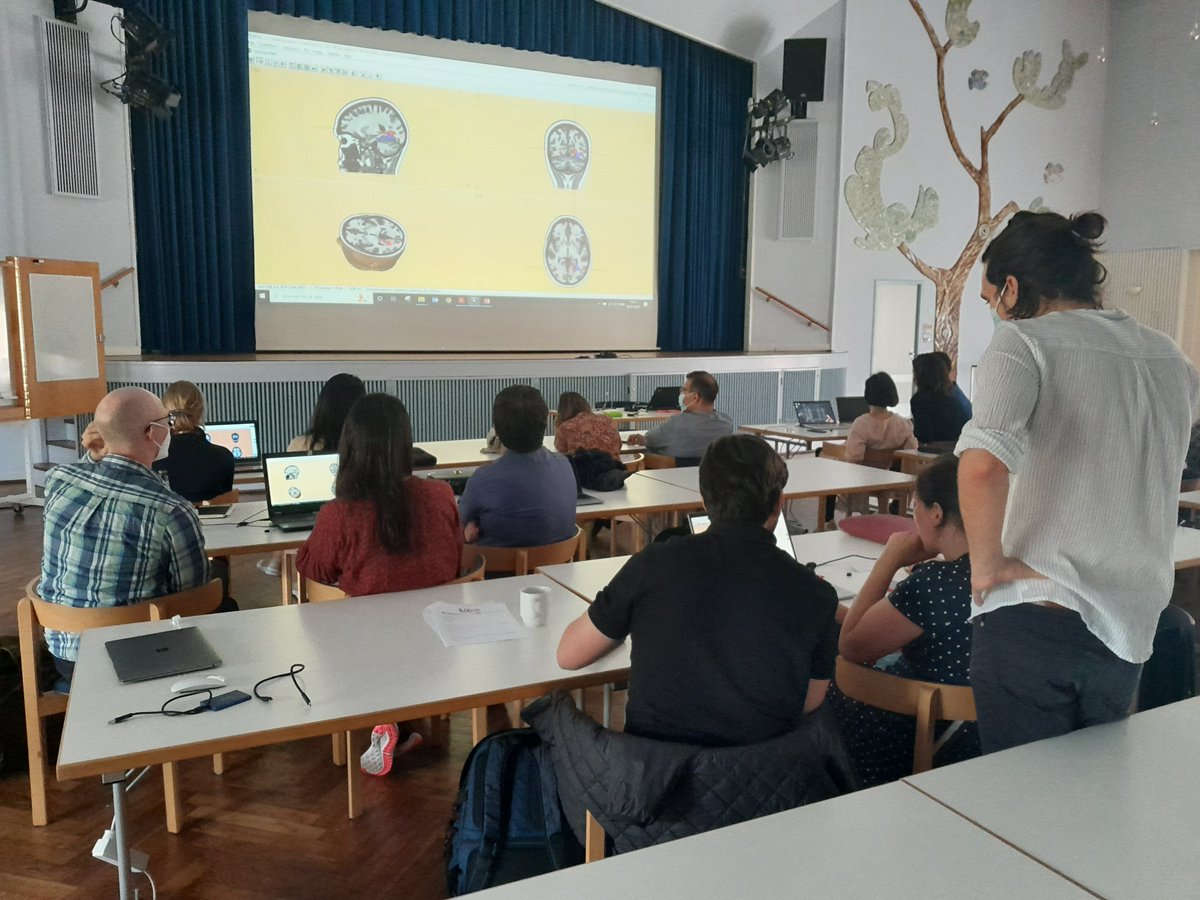 Sandor Beniczky tweet media