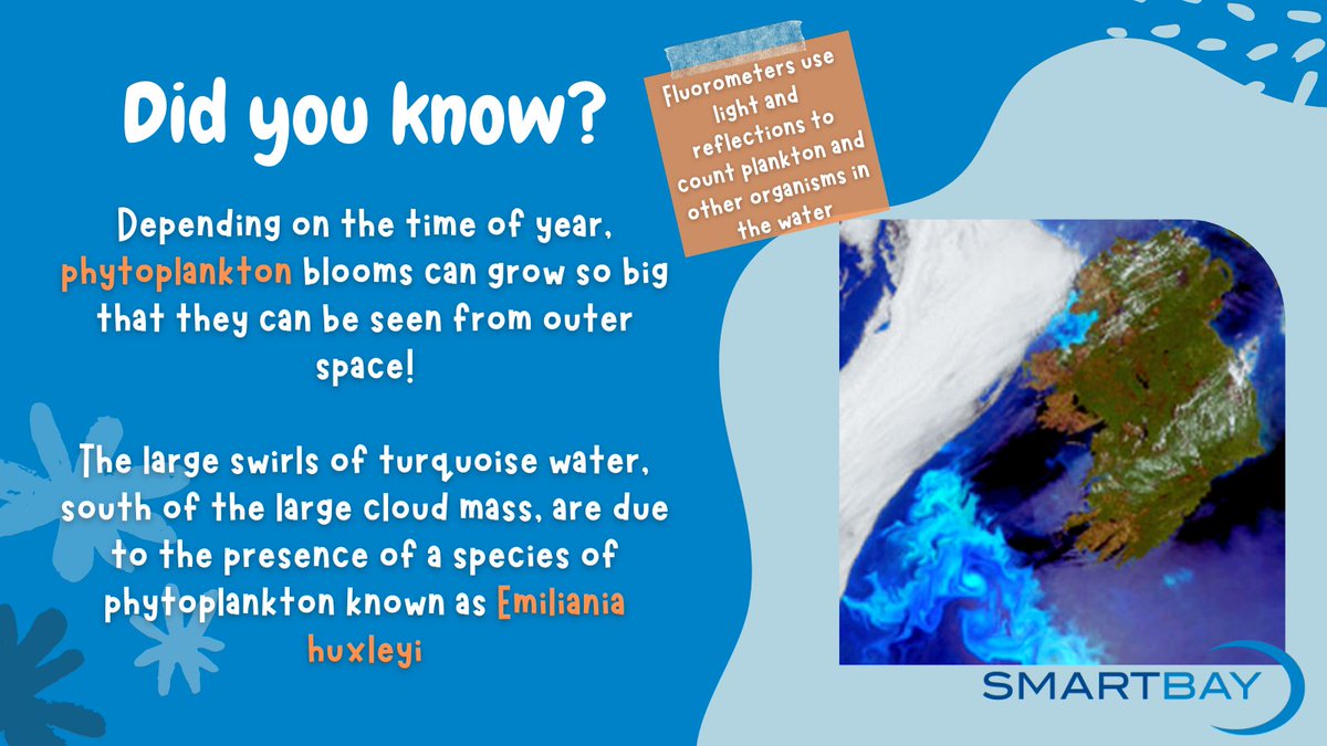 smartbay_ie's tweet image. On the #SmartBay Frame you'll find a #Fluorometer, which uses light to count organisms such as phytoplankton in the water!

Check out smartbay.ie/facilities for more info on what you'll find at the Smartbay #Observatory 🌊

@MarineInst @SEAI_ie @scienceirel @Eir_OOS @EMSOeu