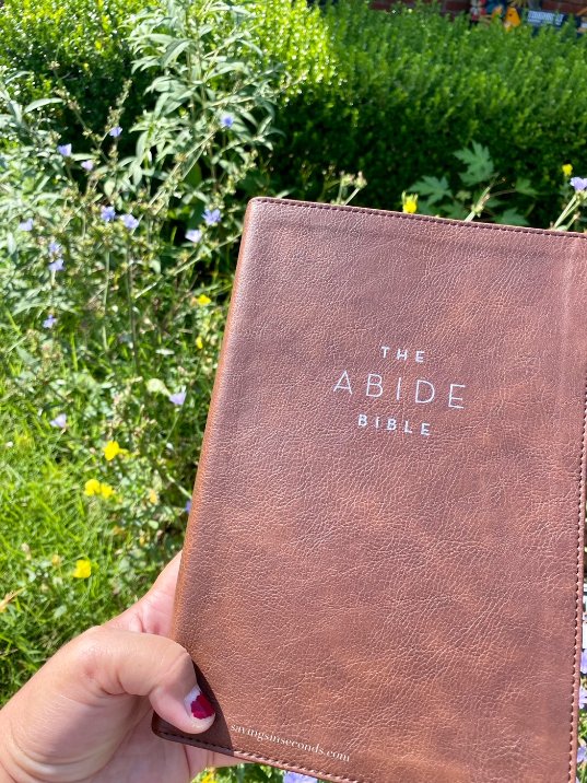 SavinginSeconds's tweet photo. Be sure to enter the #abidebible #giveaway -- this is a beautiful #studybible to use for your personal devotions or to take to church.  Thanks to @nelsonbibles and Frontgate Media for sending me a copy!  
https://t.co/LLvsIEqUCD
#abideinchrist #abide #bible https://t.co/oyDGzQSHMx