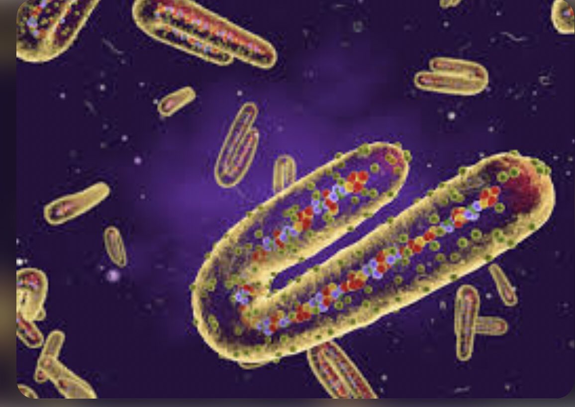 من الفايروسات التي ظهرت مجددًا
فايروس ماربورغ Marburg virus MARV
سلسلة تغريدات تتحدث عنه بالتفصيل.