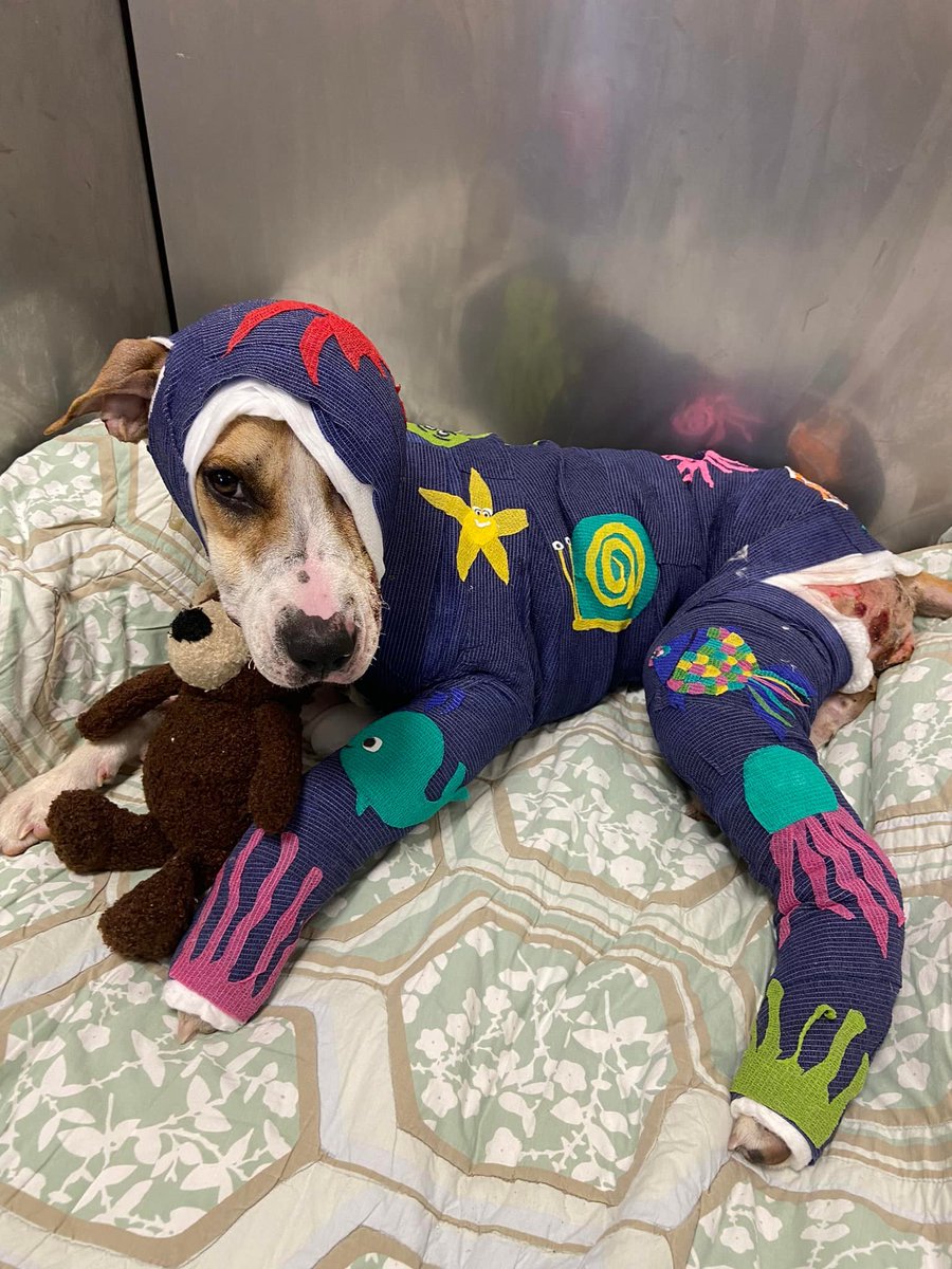 Talkshow Groyper on Twitter "RT RichardSsuna Quishon Brown, a 43yr