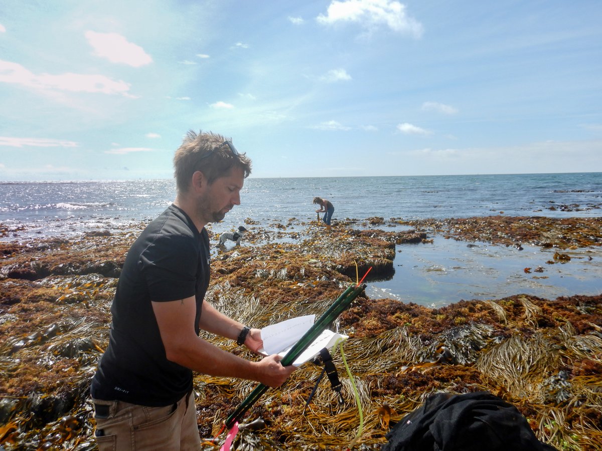 thembauk's tweet image. #jobvacancy for Research Assistant (Field)

The role will include coordinating &amp;amp; assisting with field &amp;amp; lab based research activities, including:

🤿Scientific diving operations
🌿Rocky shore surveys &amp;amp; sample collection
🔬Processing &amp;amp; analysis

Apply now: mba.ac.uk/news/vacancies…