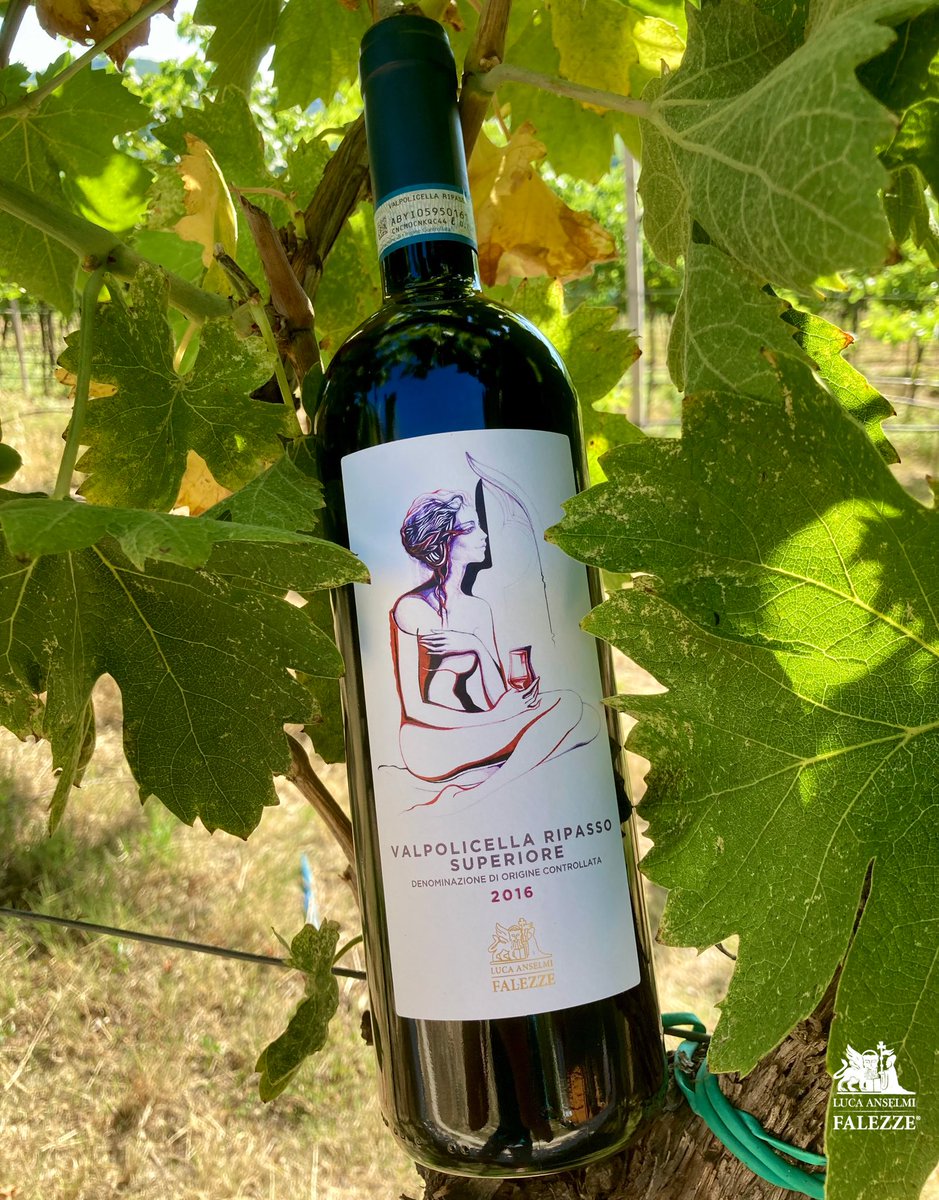 Falezze's tweet photo. 🍷 Valpolicella Ripasso Superiore 2016.
The new vintage is now available with an even more elegant and precious label.
🍇 ⭐️ 🍷
#Falezze #Valpolicella #Ripasso #Summertime #StrictlyOriginal https://t.co/gvJ6sZ1uJi