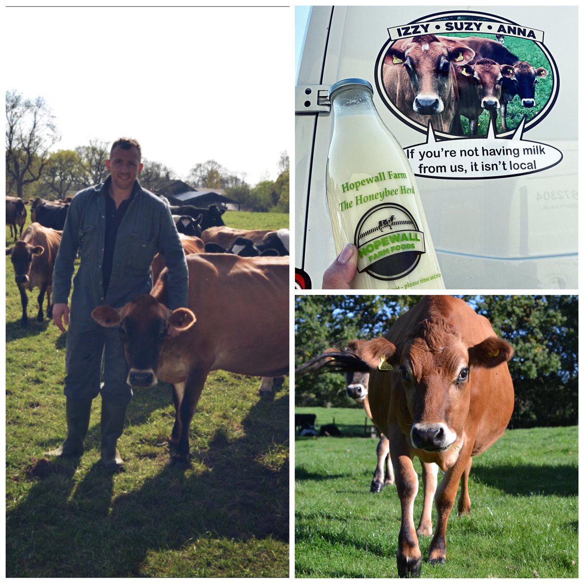 HopewallD's tweet photo. Raw Milk direct from our Farm in Adlington, either delivered or collected. At the moment we deliver to Poynton, Adlington, Bramhall, Wilmslow, Offerton, Hazel Grove, Marple, High Lane, Macclesfield and Tytherington.Let Jon know on his email address jon@hopewallfarm.co.uk #rawmilk https://t.co/B8ErczlZNj