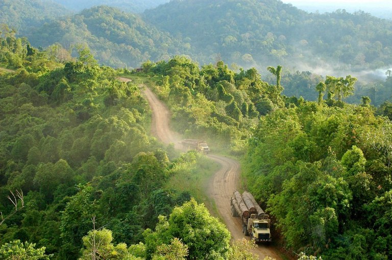 east_facts's tweet photo. FACT: The Congo Basin is the second largest rainforest in the world. 

It's home to more than 500 tree species and 10,000 animal species.

It also makes its own spring rain. https://t.co/WwCjtrH99E