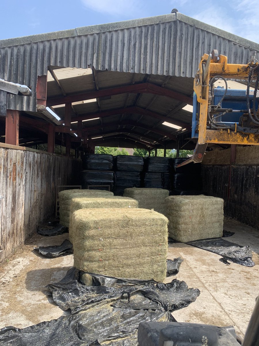 Maximus Pullin tweet media