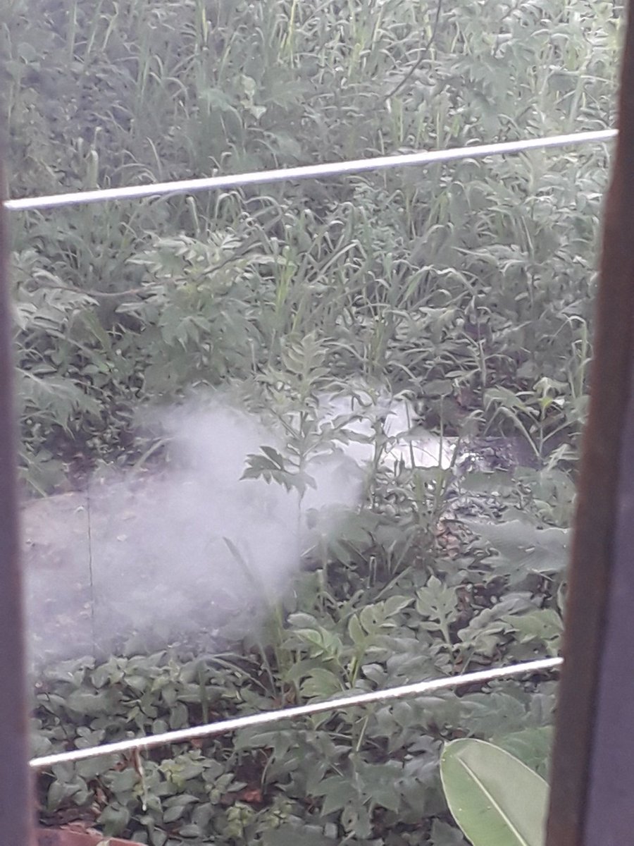 CCASBernardino's tweet photo. Los indigentes son los que están ocupando el parque con la quema de cables robados y dejando sus desechos se esconden en la maleza , van a ocasionar otro incendio que afectará las casas que colindan con este parque. AYUDA @gestionperfecta @AlcaldiaDCcs https://t.co/dPIYAsGjOL