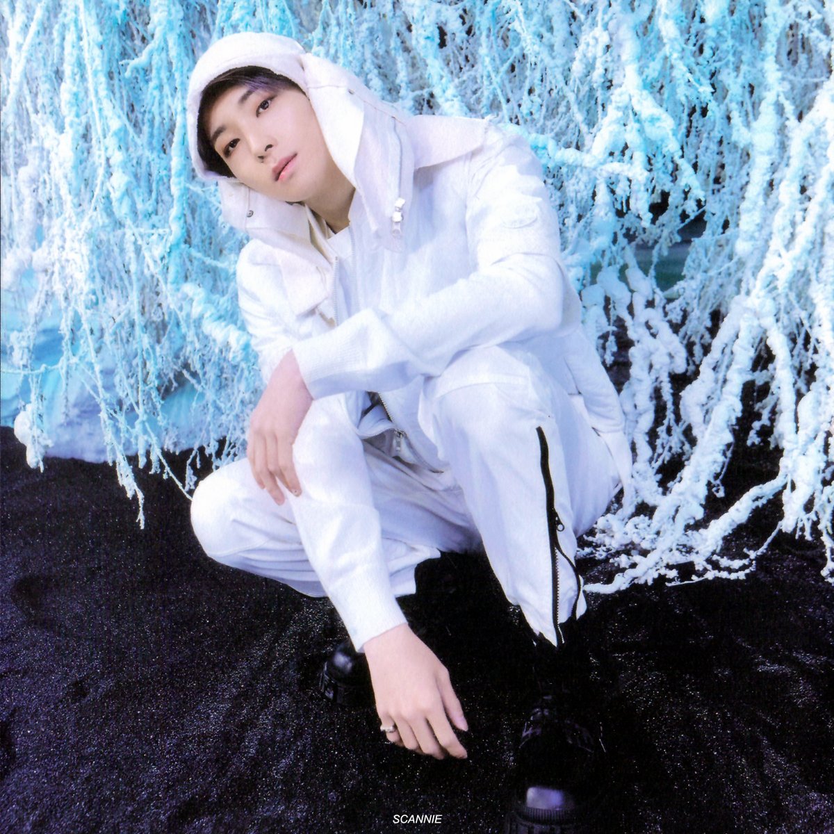 iam_scannie's tweet photo. SECTOR 17 NEW HEIGHTS Ver. 포토북 자켓
#원우 스캔 1 https://t.co/9WfFhQqLCG