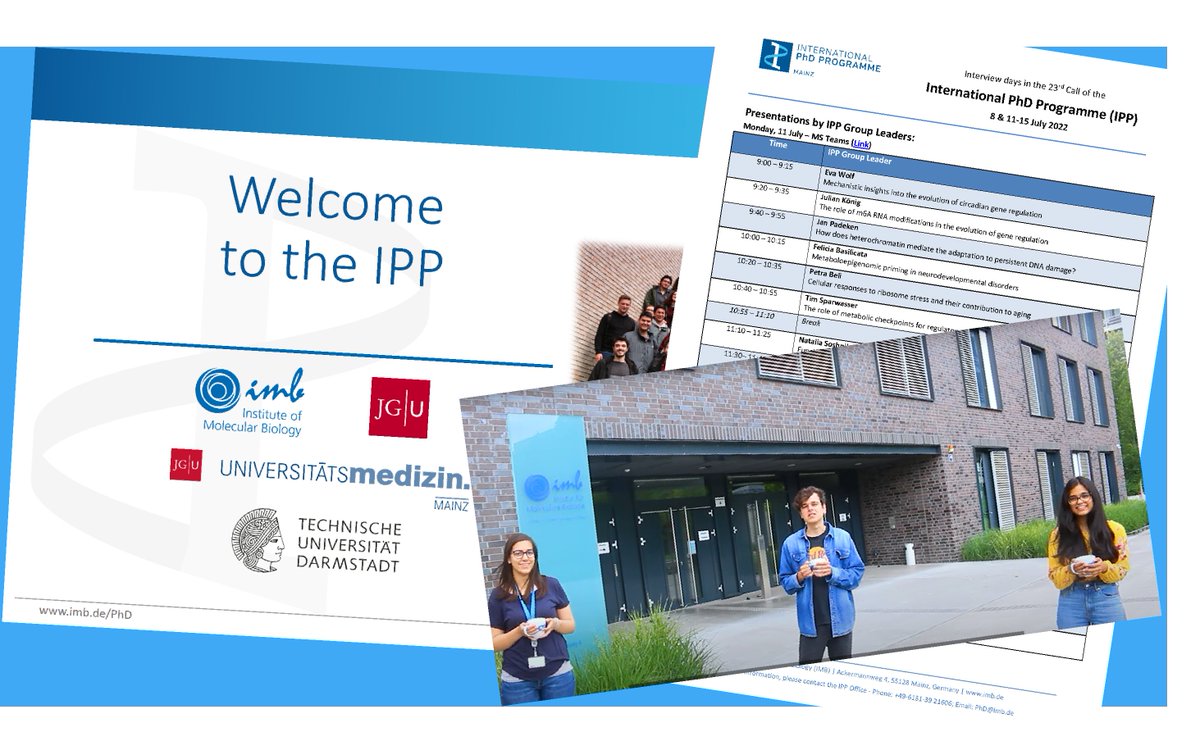imbmainz's tweet photo. #ThrowbackTuesday to the online interviews of our International #PhDProgramme #IPPMainz
πΈ31 candidates from 14 countries
πΈ20 projects available
πΈ5 days of talks & interviews
πΈ3 virtual guided tours
We look forward to meeting the new IPP #PhDstudents π©πΎβπ¬π©π»βπ»π¨π½βπ¬π
@IPPMainz https://t.co/h8OaleEolI