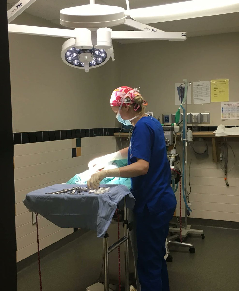 cthumane's tweet photo. Beating hearts kept steady by vets full of love and know-how.
#MedicalCenter #Veterinarians #SavingPetsLives #BeAVet
https://t.co/BeA9klJxki https://t.co/15BPsCISoC