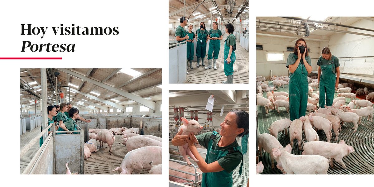 Essentia_ideas's tweet photo. ¡Comenzamos la semana con nuevos proyectos! Hoy visitamos #Portesa junto a #imasporc y @plumedlucas 
#MarcasQueHacenSentir #NuevosProyectos https://t.co/AC0EiXLvSY