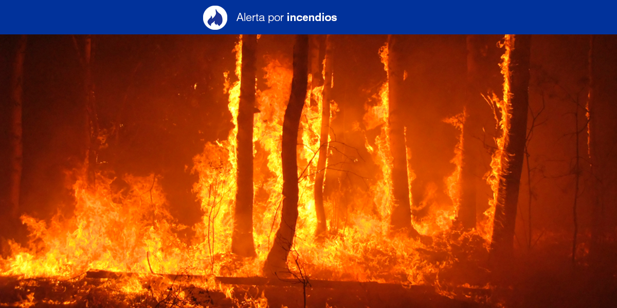📢 La Dirección General de Seguridad y Emergencias del Gobierno de Canarias declara #AlertaRiesgoIF en #ELHIERRO #LAPALMA #LAGOMERA #TENERIFE y #GRANCANARIA. Inicio miércoles 20/07 a las 10:00 horas.

Más información y consejos ⬇️
www3.gobiernodecanarias.org/noticias/alert…