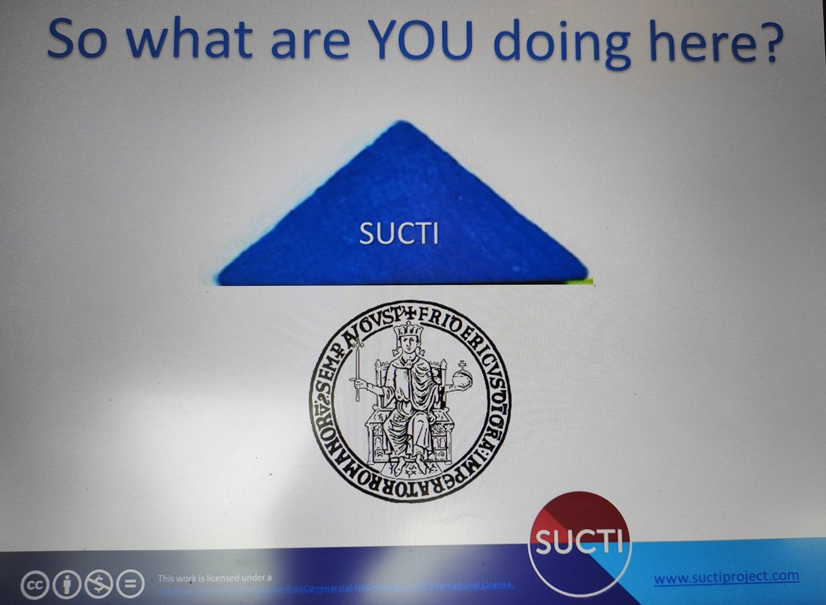 The European Universities Initiative can result in so many different initiatives and friendships! <a href="/universitatURV/">Universitat Rovira i Virgili</a>
is collaborating at so many levels with <a href="/UninaIT/">Unina Federico II</a>! 
Thanks <a href="/UninaIT/">Unina Federico II</a> for so much! ❤️ 
<a href="/suctiproject/">SUCTI</a>
<a href="/ici_project/">ICI Project</a> <a href="/aurora_org/">Aurora</a> 
#EUI #highered #intled