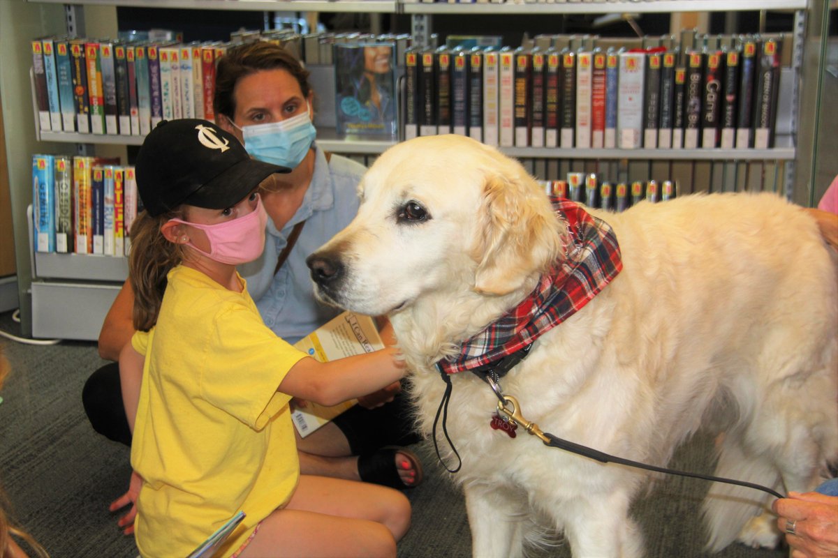 InnisfilideaLAB's tweet photo. There are still spots available for our #PawsForReading program!🐾

Studies have shown that reading to dogs encourages confidence and boosts self-esteem in children who struggle to read aloud, therefore boosting their literacy📖

Sign up for a visit today: https://t.co/XS3B3KSq8D https://t.co/9enbzE2yKr