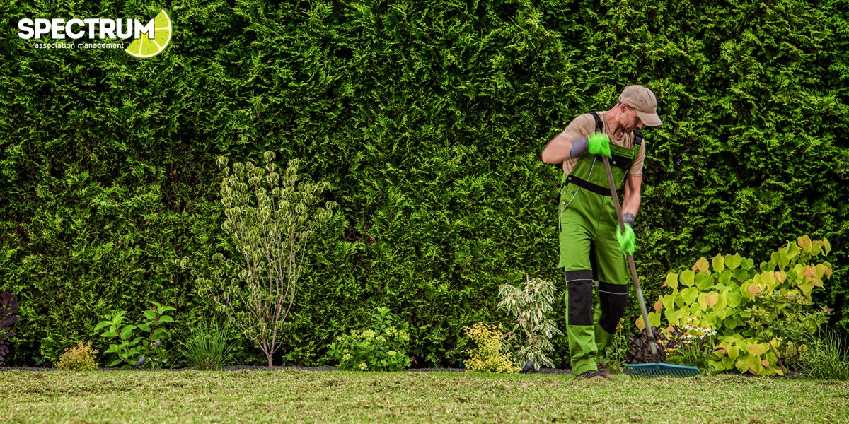 Spectrum tweet media