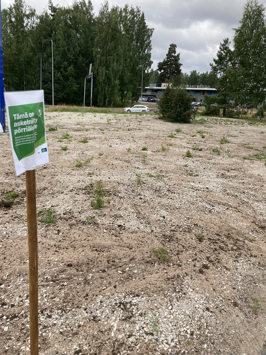 Katri Taskinen tweet media