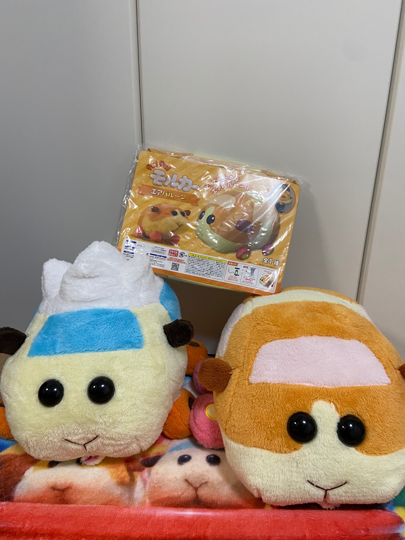 ウニ丸様専用 www.falconofs.com