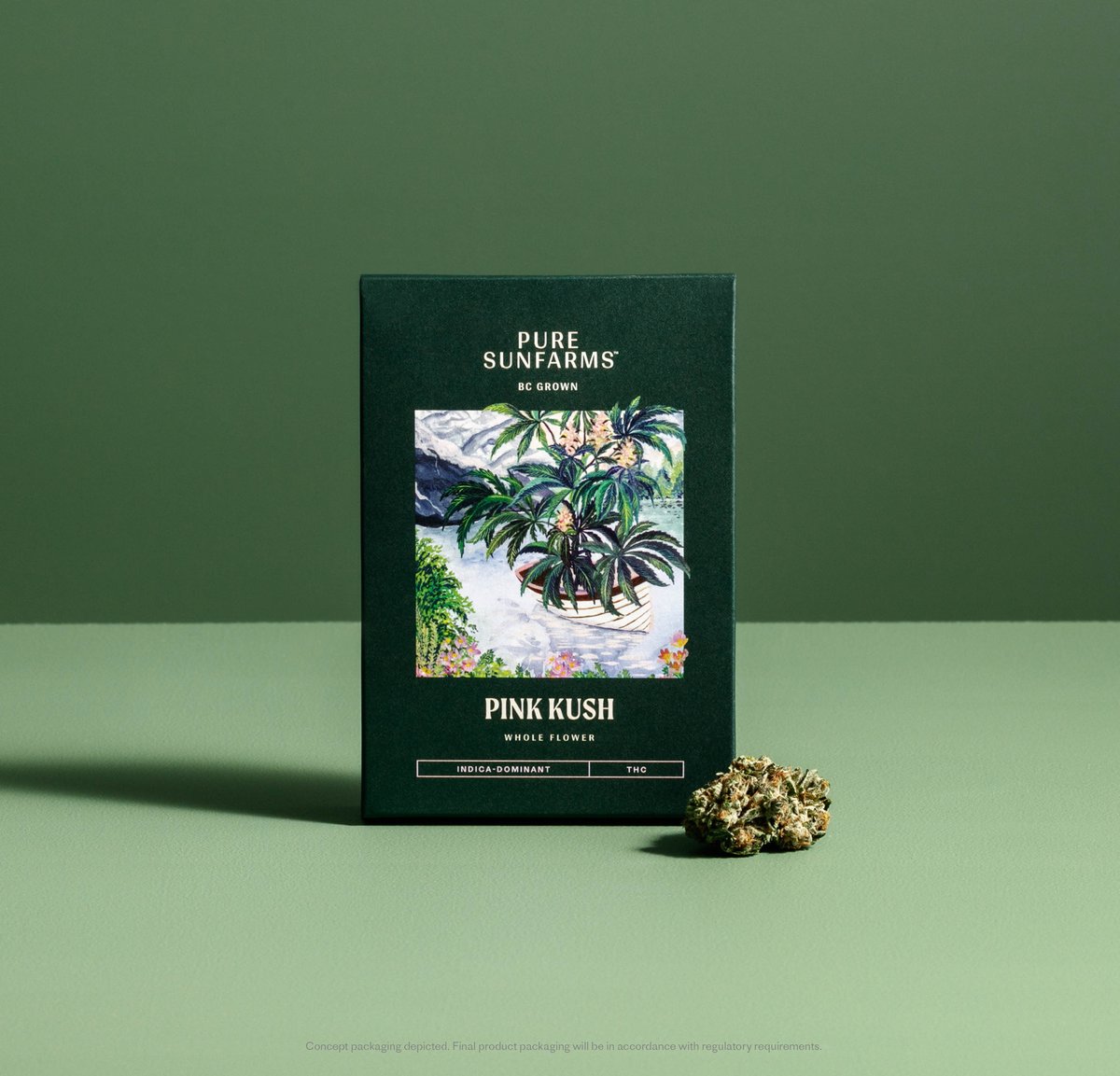 RockwoodDispo's tweet photo. Pink Kush. A classic grown with care, featuring a high THC potential and strong gassy, spicy, and sweet aromas.
Available in multiple formats.
Visit us in-store for more details!
@PureSunfarms
#scarborough #cliffcrest #toronto #dispensary #weed #cannabis #local #near #flower https://t.co/K5kZFiWCbq