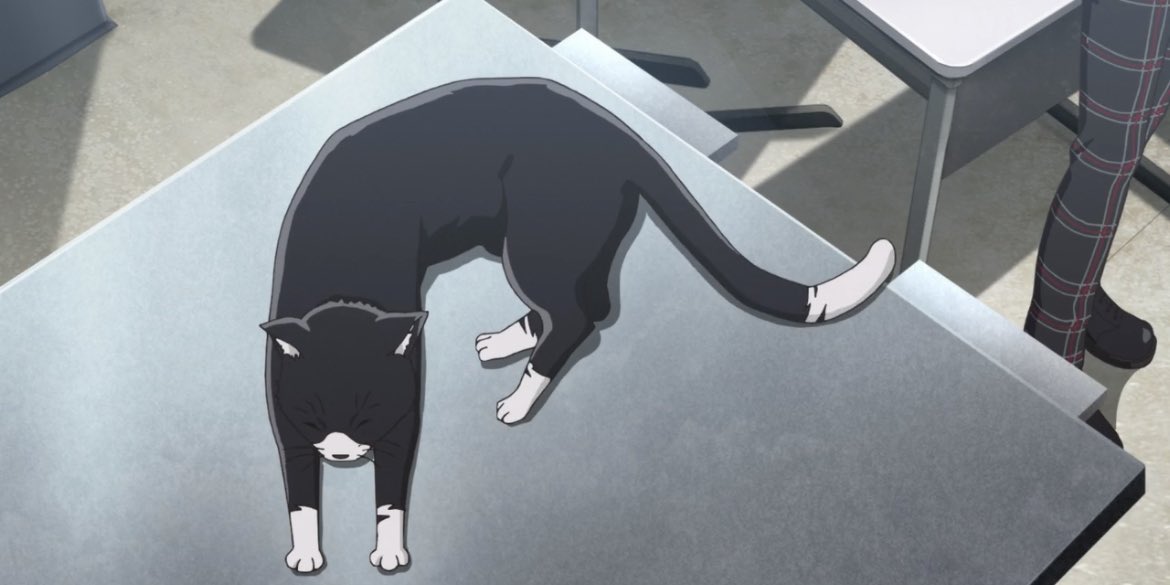 Good! Meow-ning!- g-get what I did there like morning and meow- 
Nevermind How's everyone going?