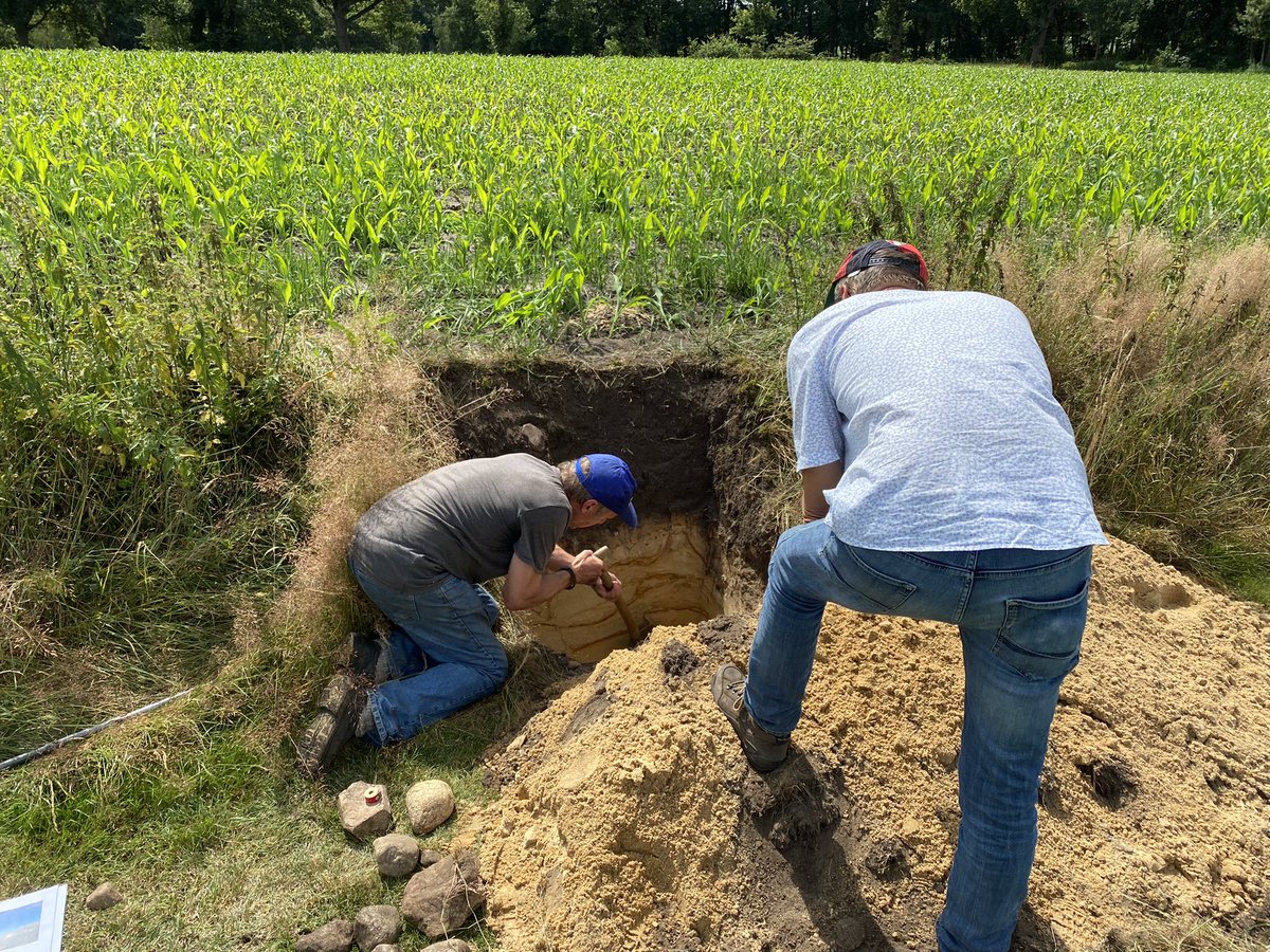 Vandaag profiel gegraven in de steilrand vd #Braamberg, tbv foto, tbv #AardkundigMonument van een #smeltwaterheuvel ofwel een kame. Goede taakverdeling: Gerrie Koopman graaft, Hans Dekker fotografeert en ik gooi het gat weer dicht…;).