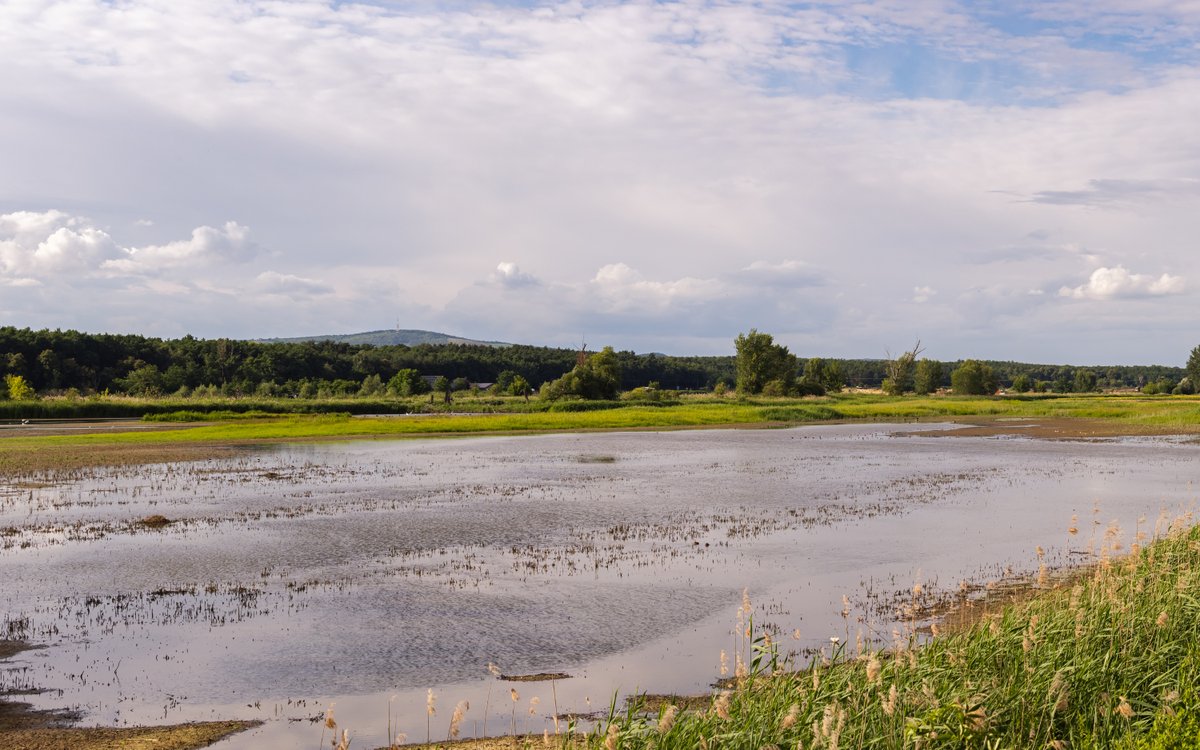 Dnes jsme představili Strategii rozvoje ptačích parků ČSO.
birdlife.cz/ptaci-park-v-k…

🎯 Do roku 2042 chceme v každém kraji republiky (vyjma Prahy) alespoň 1 ptačí park. Aktuálně máme 4. Reagujeme tak na největší úbytek biodiverzity v historii, který v tomto desetiletí prožíváme.