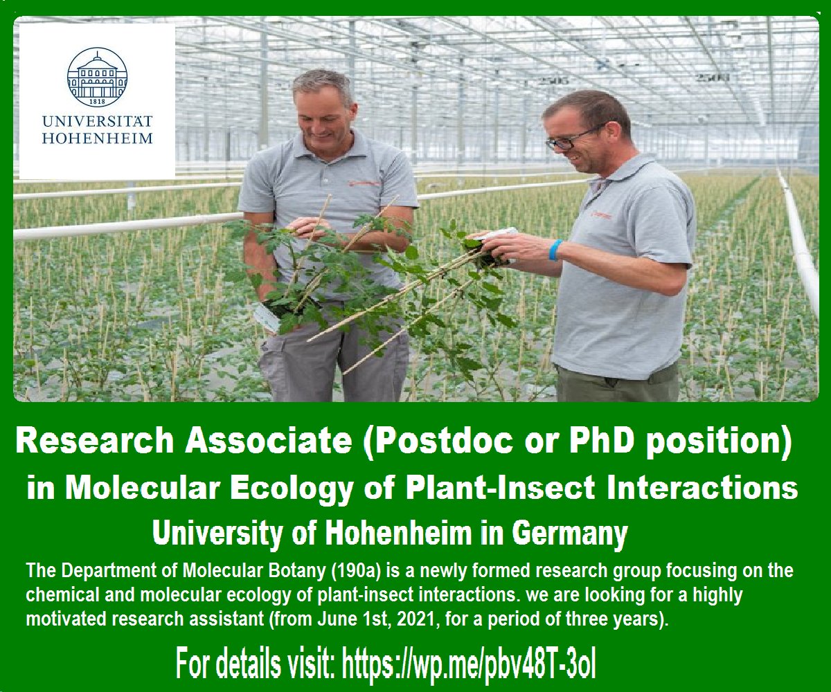 📌 Research Associate (Postdoc or PhD position) in Molecular Ecology of Plant-Insect Interactions🌱🐞 at The University of Hohenheim in Germany 🇩🇪... Please Retweet and spread the word! For details visit the link below👉 wp.me/pbv48T-3ol