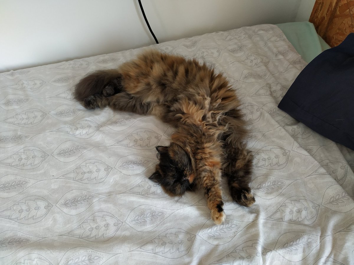 Aquí, descansando en una postura totalmente lógica y normal