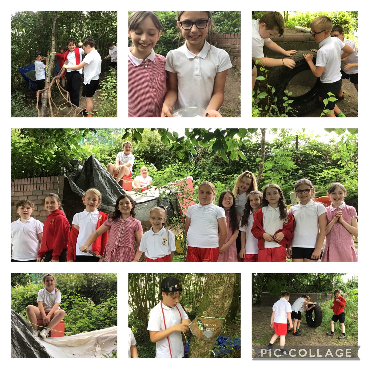 GPSMrsLEvans tweet media